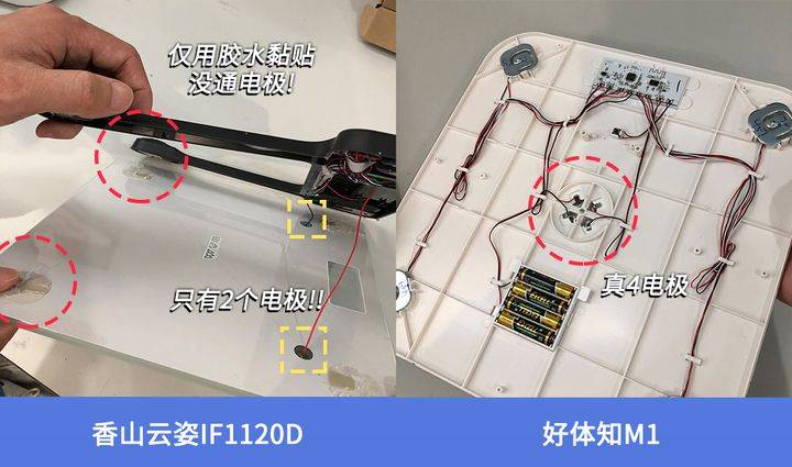 晓！体脂秤真是智商税？怎么选看这一篇就够了!开元棋牌网站2023年6款体脂秤评测重磅揭(图6)