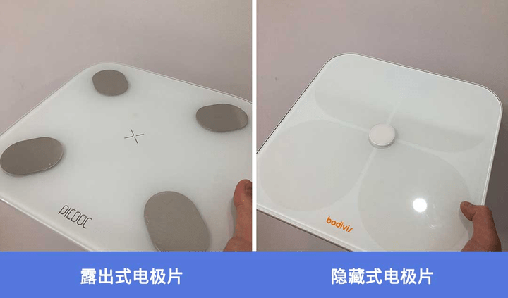 晓！体脂秤真是智商税？怎么选看这一篇就够了!开元棋牌网站2023年6款体脂秤评测重磅揭(图13)